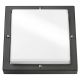 Image BASSI GRAPHITE/OPALE E27