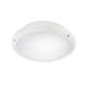 DEIMOS E27 II BLANC-IP65-IK10 MAX LED 8W référence : 302363 de la marque ELECTRA