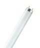 OSRAM Tube Fluo Lumilux T8 16W/830 G13