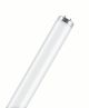  Image Lumilux t12 l 65w/640 sa           osram