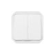Commande double interrupteur ou poussoir Plexo composable blanc