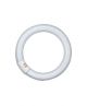  Image T9 circulaire l 40w/840 c g10q     osram