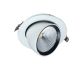 Image Downlight SNAIL Orientable Blanc 3000K 45W